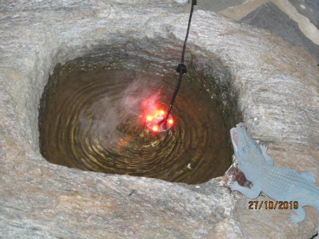 Balkonikarystos