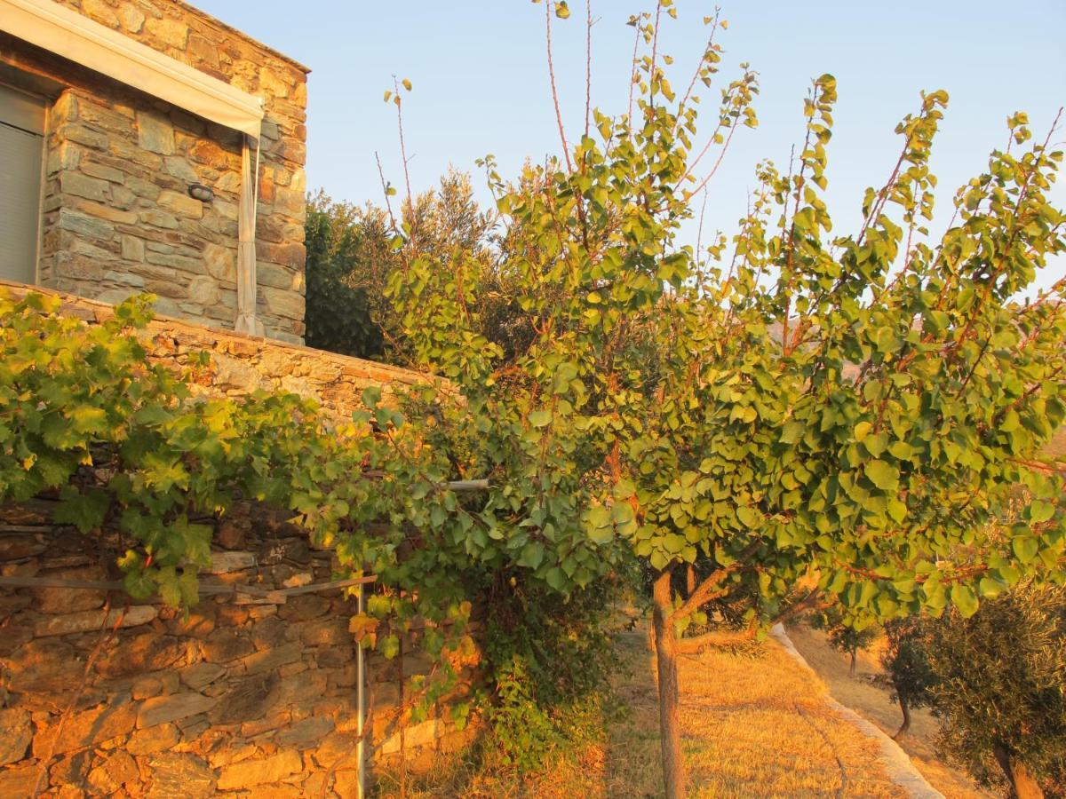 Balkonikarystos Appartement Karystos (Evia)